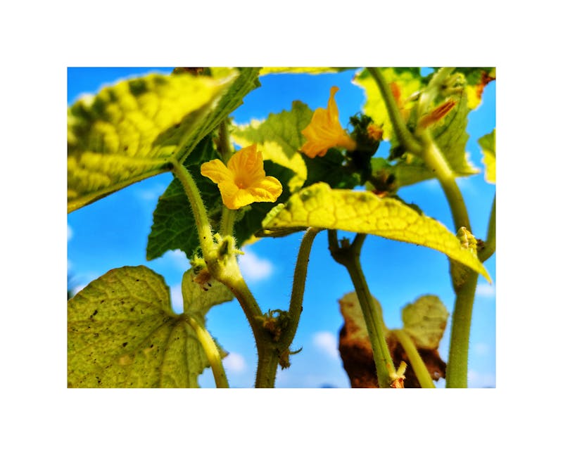 Woodworking workshop space in Asheville